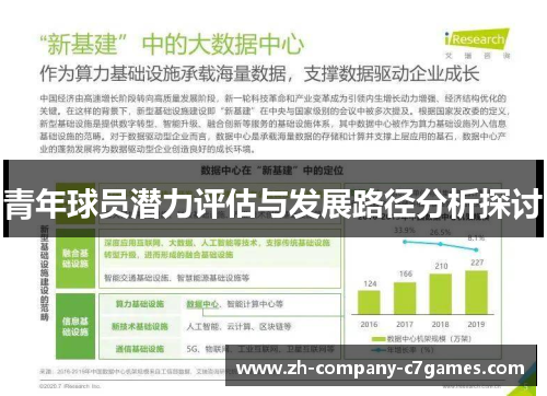 青年球员潜力评估与发展路径分析探讨