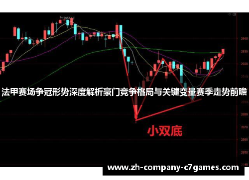 法甲赛场争冠形势深度解析豪门竞争格局与关键变量赛季走势前瞻